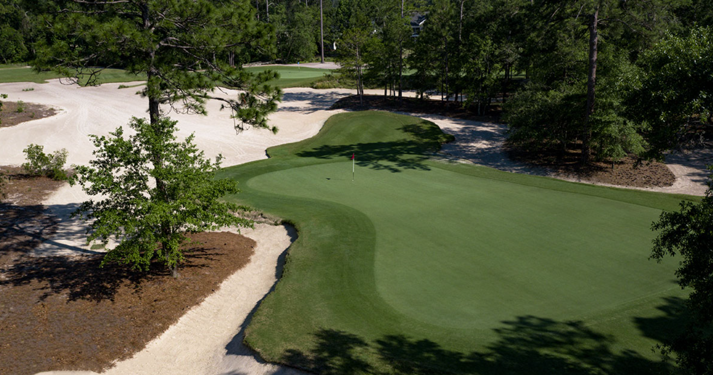 Hole 11 — True Blue Golf Club